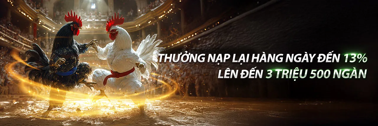 Lợi ích khi là thành viên 88kim đá gà